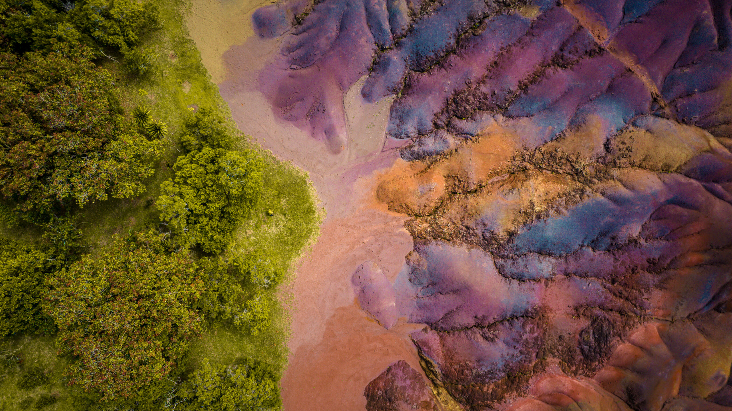 C7CE-DUNES-11-scaled